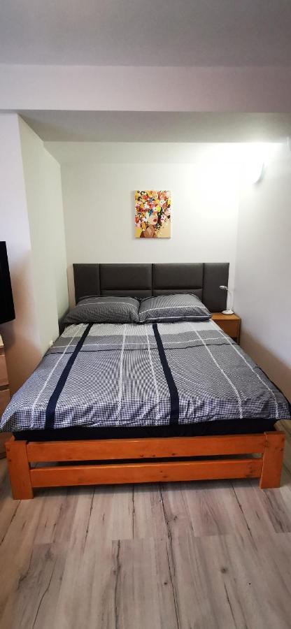 Zielony Zakatek Nowy Targ Extérieur photo